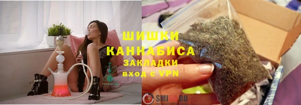 соль ск Козловка