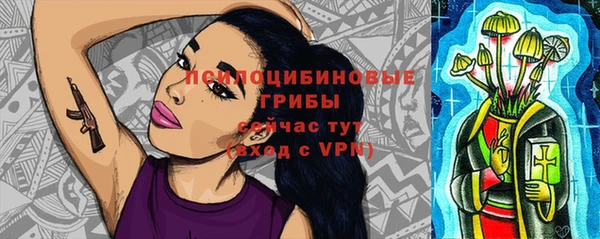соль ск Киреевск