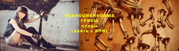 дживик Кодинск